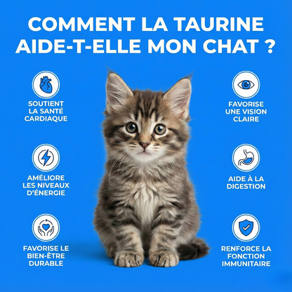 Taurine Pure - Recommandé par les vétérinaires