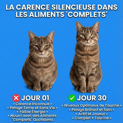 Taurine Pure - Recommandé par les vétérinaires