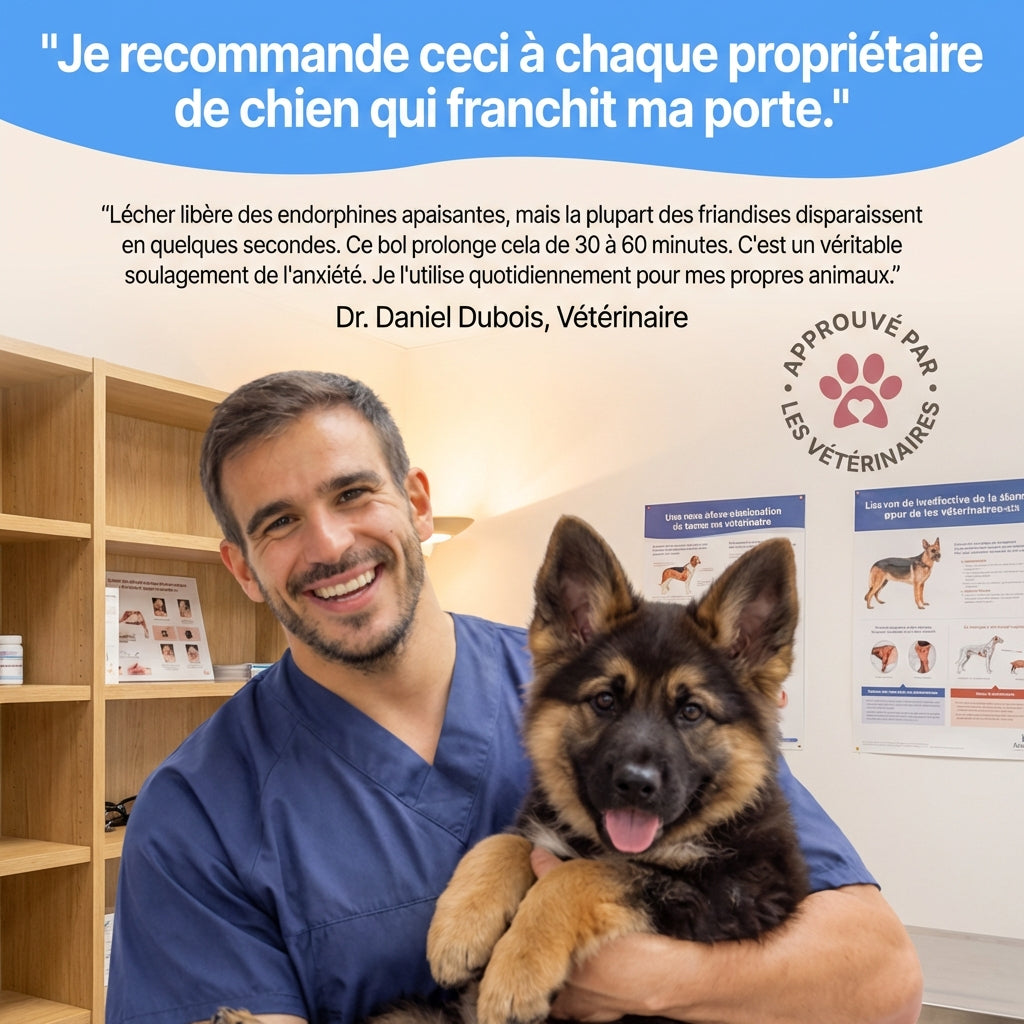 Bol anti-anxiété pour chien