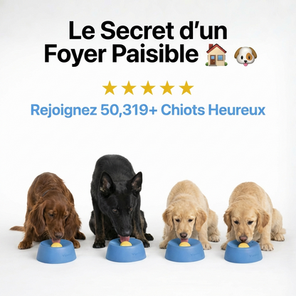 Bol anti-anxiété pour chien