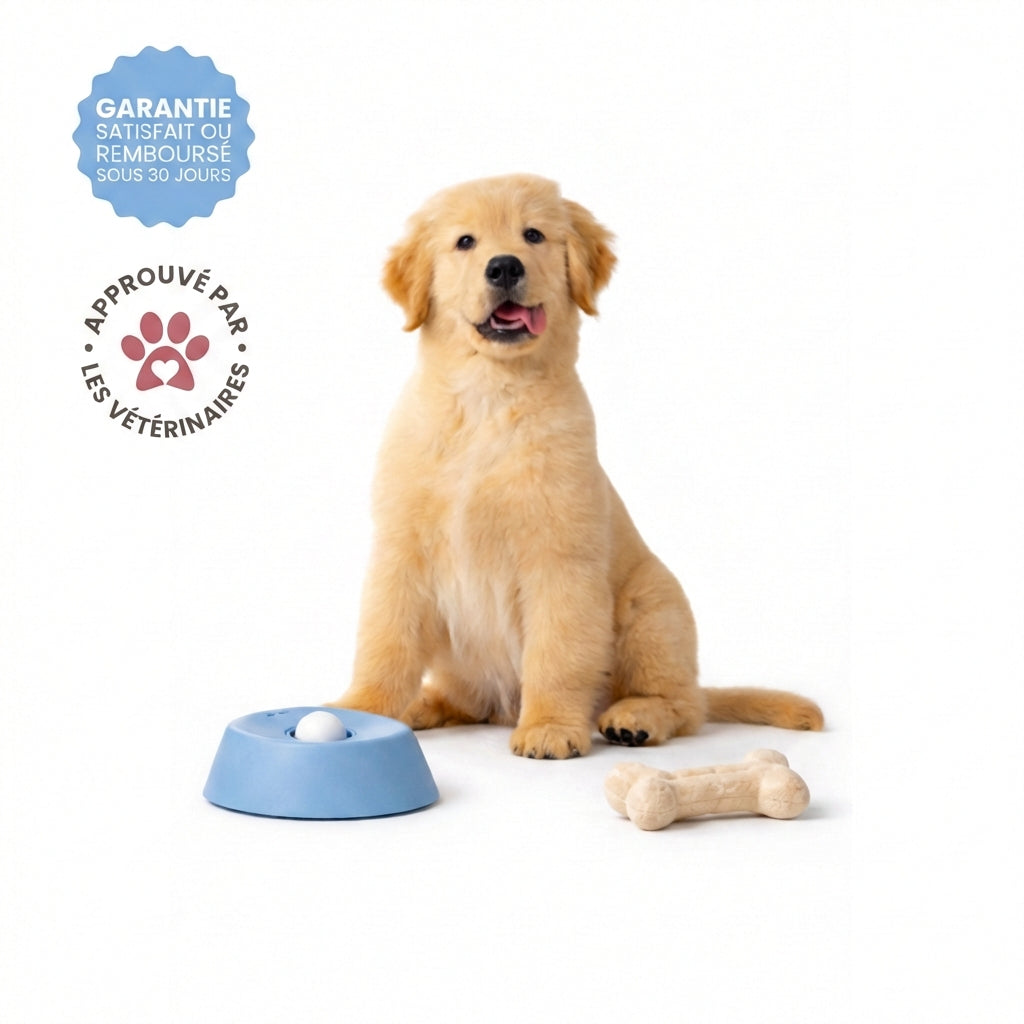 Bol anti-anxiété pour chien