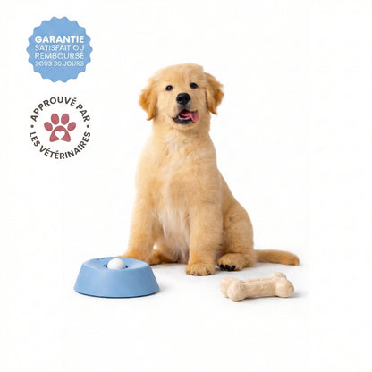 Bol anti-anxiété pour chien