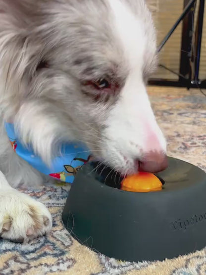 Bol anti-anxiété pour chien